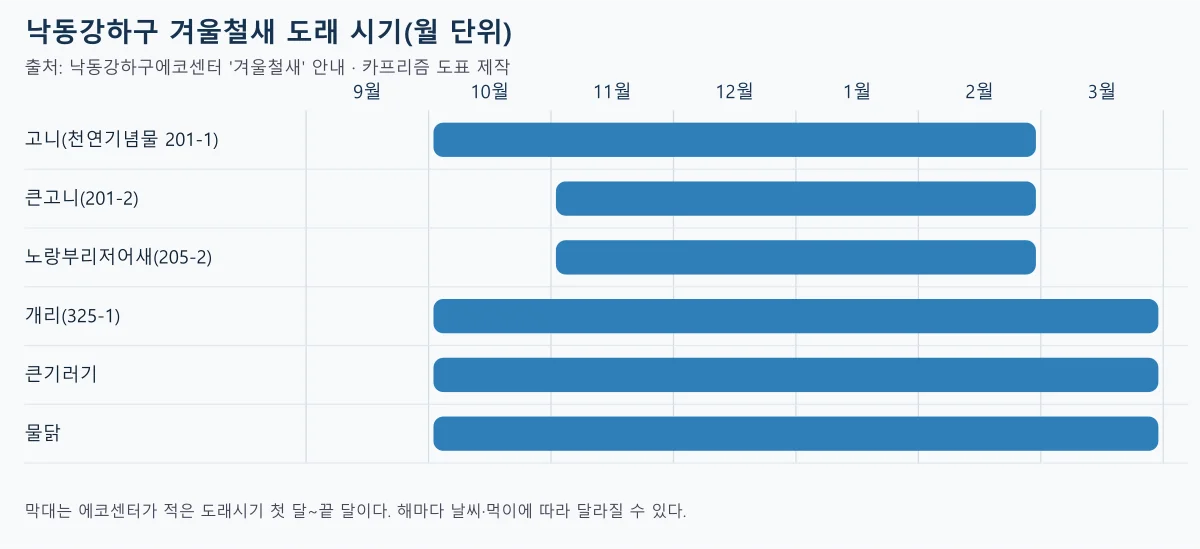 낙동강하구 겨울철새 6종의 도래 시기를 9월부터 3월까지 막대로 나타낸 도표