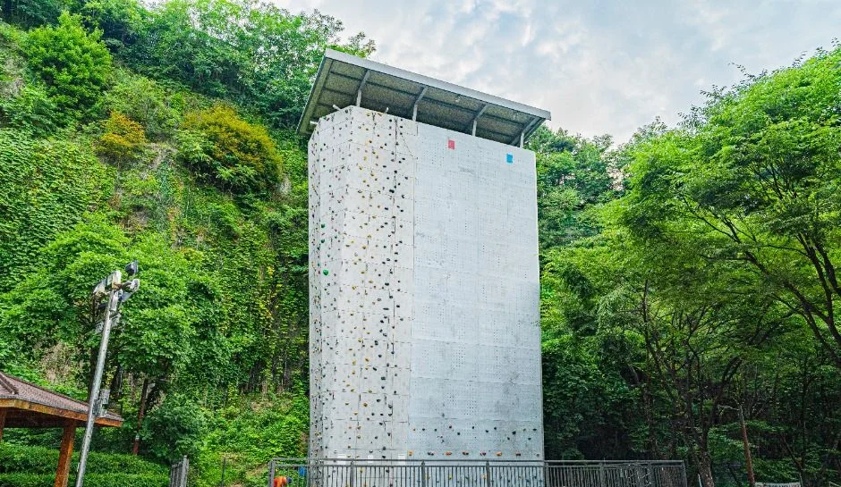 숲을 배경으로 선 흰색 직벽형 인공 암벽