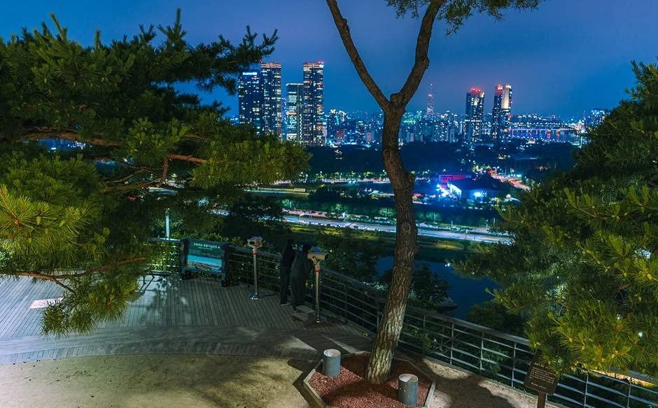 소나무 사이로 한강 쪽 고층 빌딩과 야경이 보이는 전망 데크