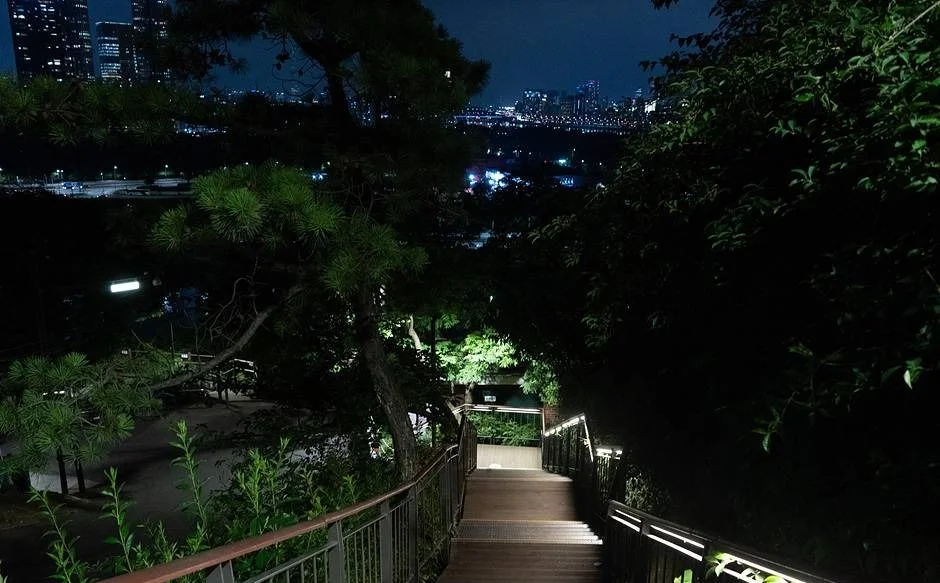 야간 산책로의 목재 계단과 난간 조명이 보이는 장면