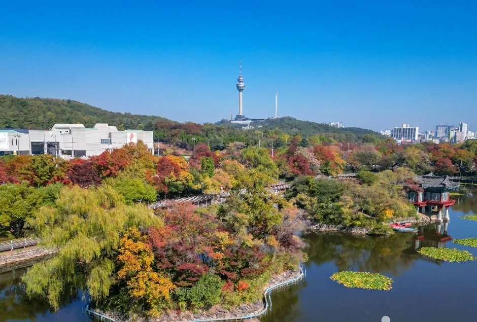 단풍이 든 연못가 숲 너머 멀리 83타워가 보이는 풍경