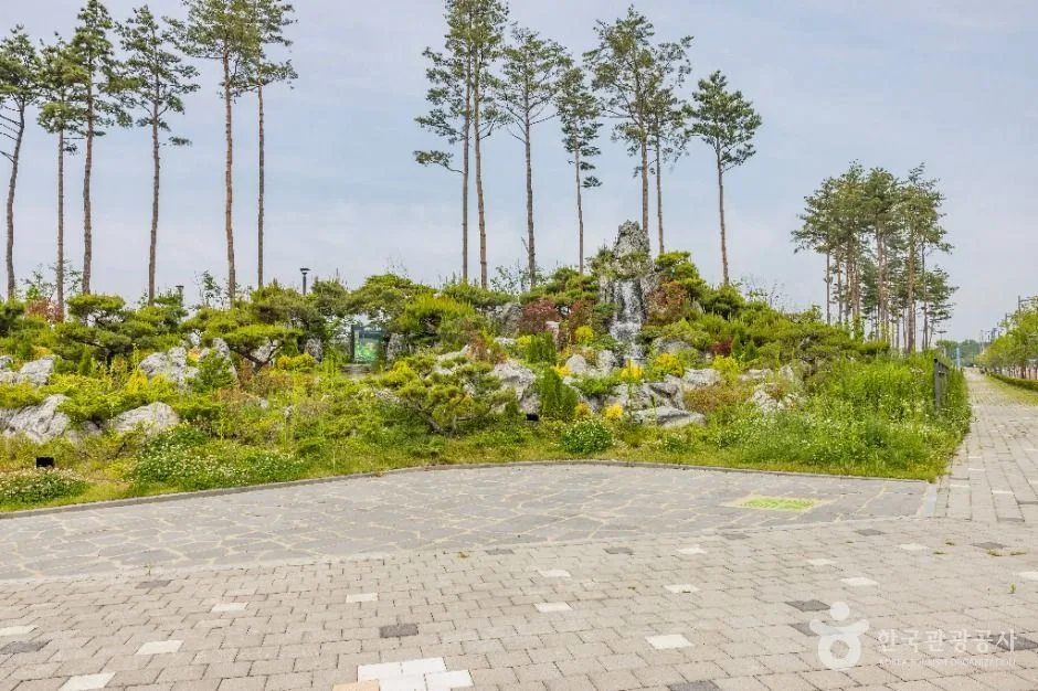 청주 생명누리공원 안 조경 정원과 포장 산책로