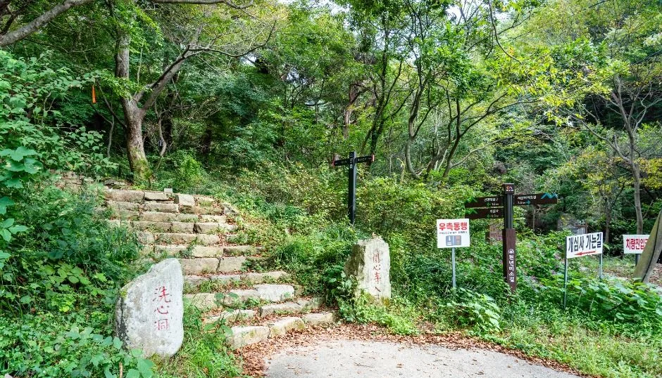 숲속 돌계단과 이정표