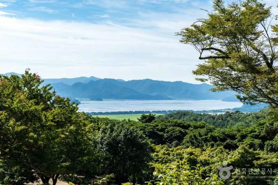 숲 너머로 내려다보이는 강진만과 먼 산줄기