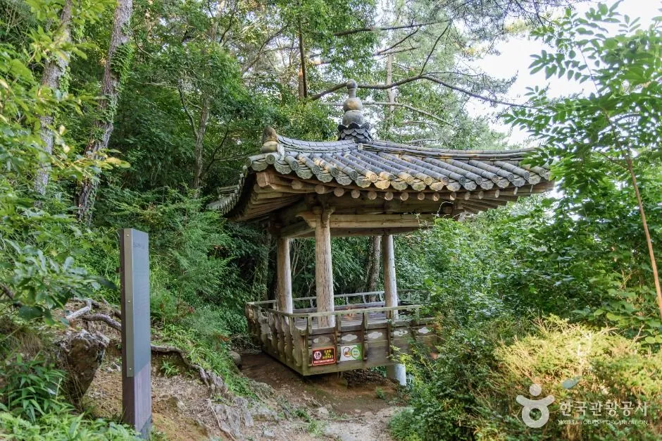 숲 속에 서 있는 육각형 지붕의 정자