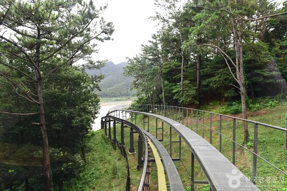 숲 사이로 이어진 가우도 모노레일 궤도와 멀리 보이는 물