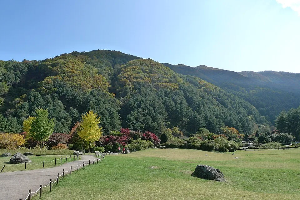 가을 단풍이 물든 아침고요수목원 잔디원 전경, 뒤로 산줄기가 병풍처럼 둘러싸고 있다