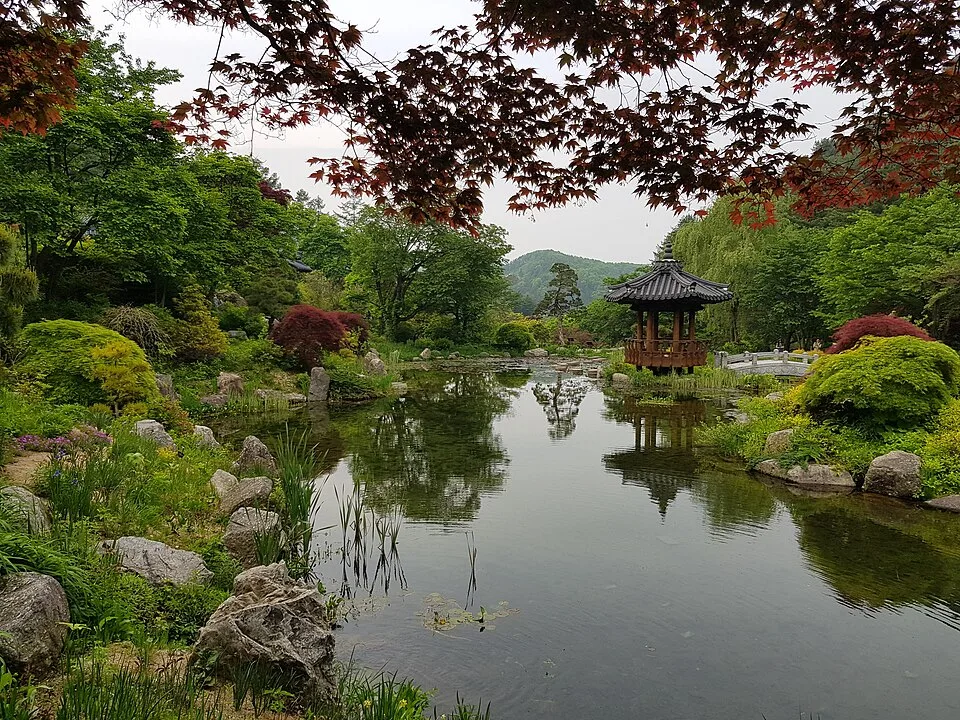 정자와 단풍나무가 어우러진 아침고요수목원 한국정원의 연못