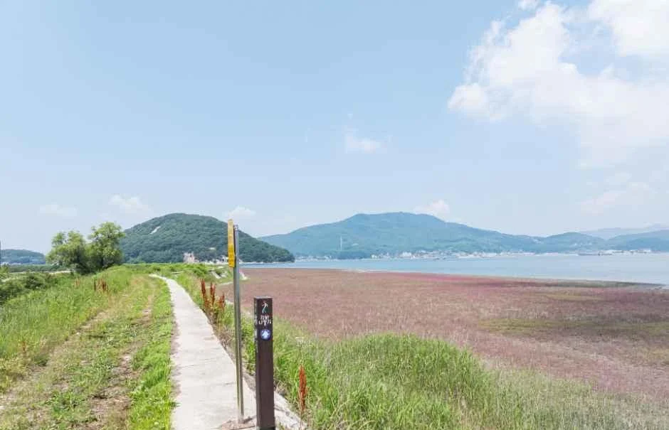 갯벌과 풀밭 옆으로 이어진 강화나들길 11코스 산책로