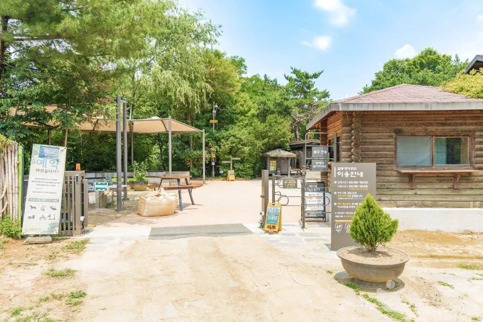 목조 건물과 안내판이 있는 공원 안 광장