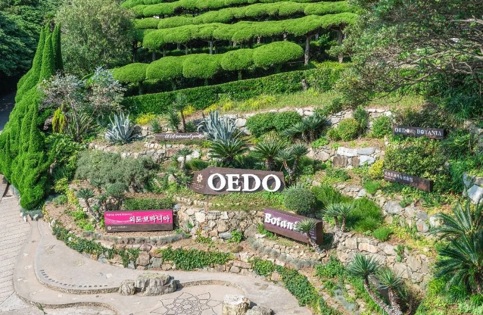 OEDO 글자가 놓인 계단식 화단을 위에서 본 모습