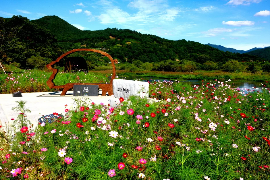 대황강변 꽃밭에 핀 코스모스와 조형물