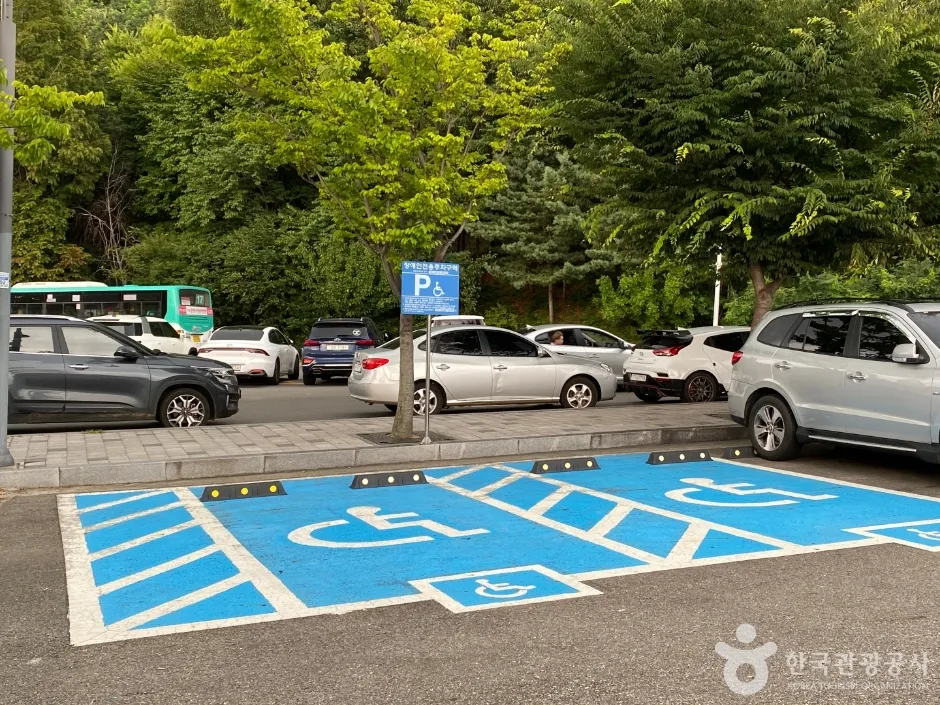 광명동굴 주차장에 주차된 승용차들과 장애인 주차구역
