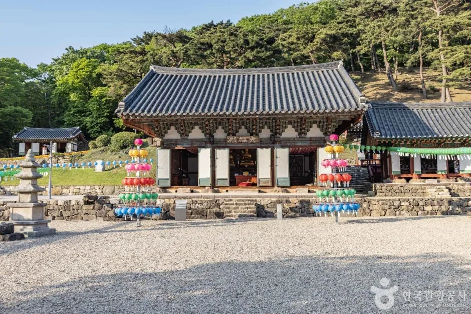 소나무 숲 언덕 앞 자갈마당에 서 있는 참당암 전각