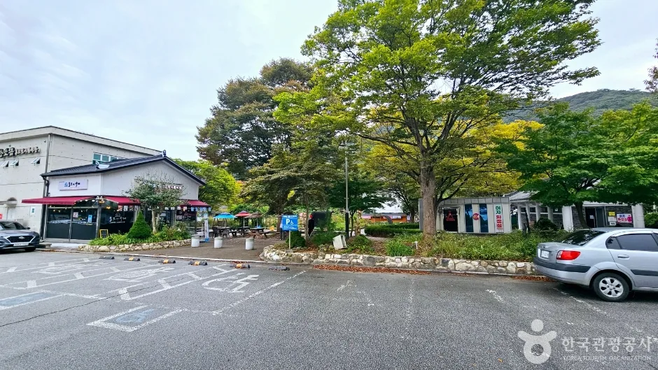 선운사 입구 쪽 포장된 주차 공간과 주변 건물