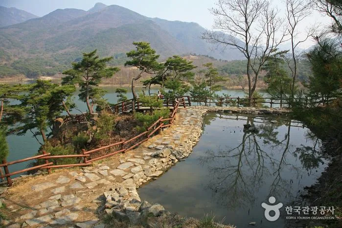 괴산 산막이옛길 소나무 숲길과 괴산호 수변 산책로