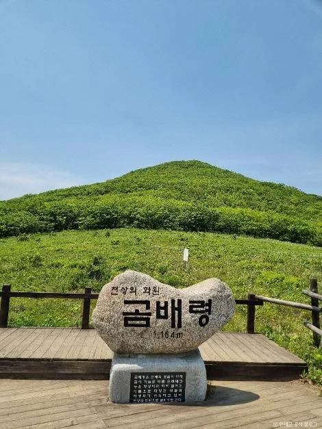 곰배령 해발 1,164m 표지석과 뒤로 보이는 초록 능선