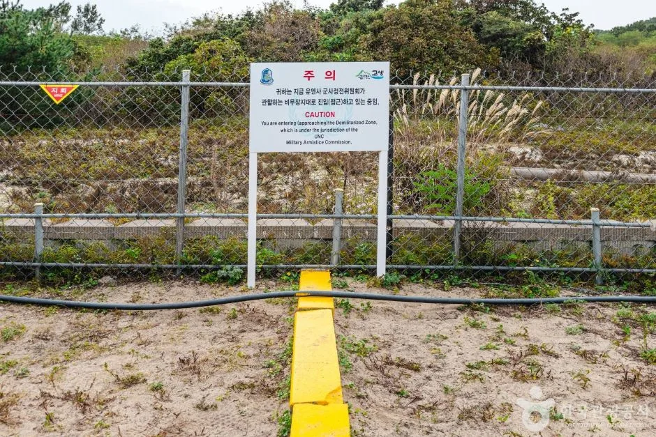 철책 앞 경고 표지판과 노란 경계선