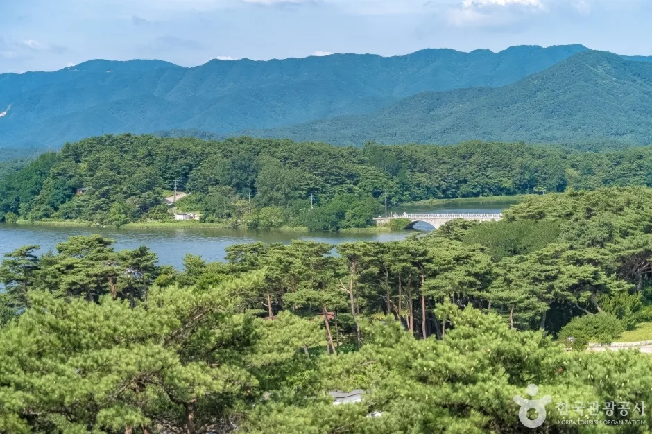 소나무 숲과 호수, 먼 산이 보이는 화진포 조망