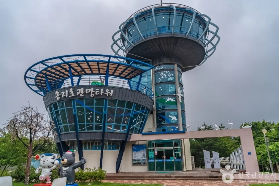 송지호관망타워 외관