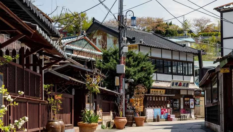 일본식 목조 건물과 화분이 늘어선 골목 풍경