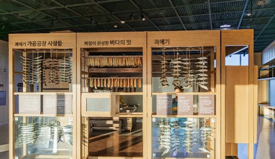 과메기 가공공장 사생활을 소개하는 목재 진열장 전시