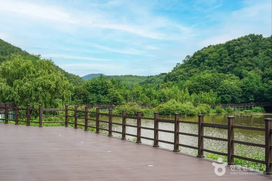 저수지 가장자리를 따라 이어진 나무 데크 산책로와 초록 산