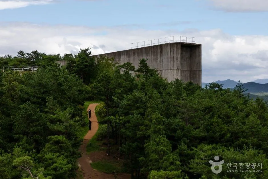 숲 사이로 난 좁은 흙길과 멀리 보이는 콘크리트 구조물