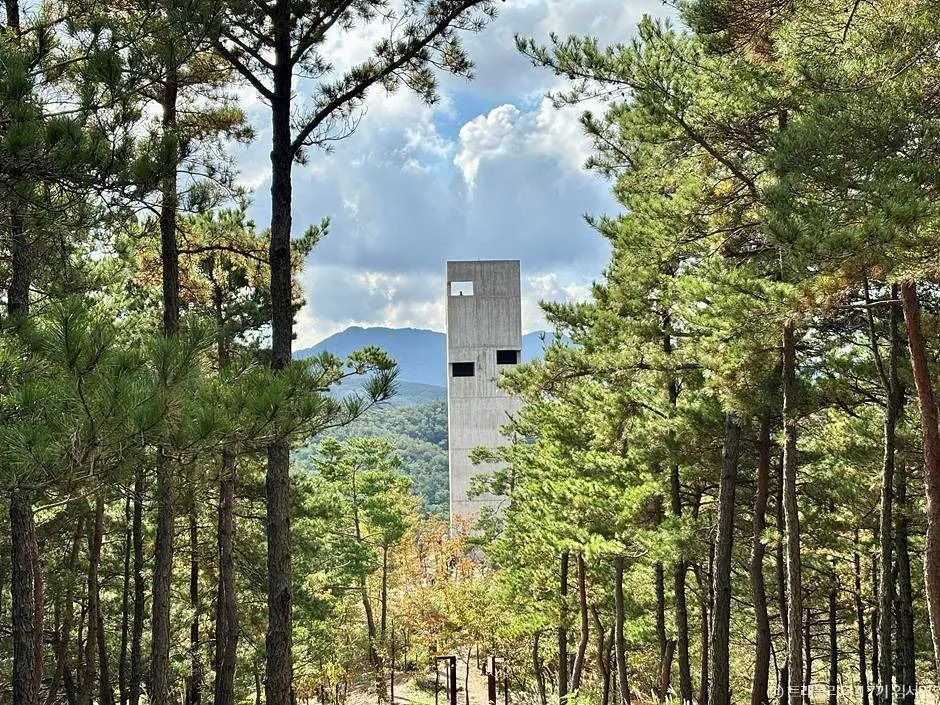 키 큰 소나무 사이로 멀리 보이는 콘크리트 탑과 산