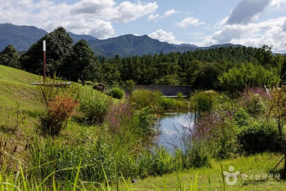 억새 풀숲과 연못, 그 뒤로 산줄기가 보이는 풍경