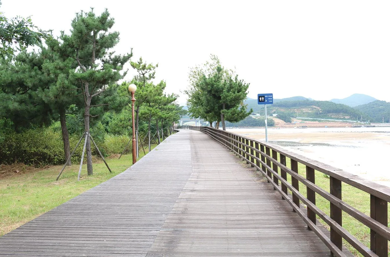 배알도 수변공원의 목재 데크 산책로, 소나무 숲과 갯벌이 함께 보인다