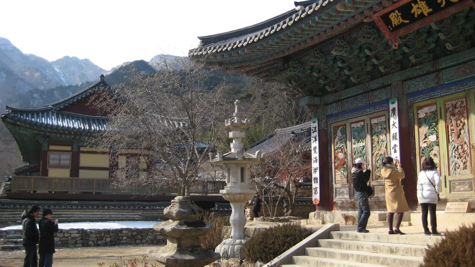 눈 덮인 계룡산을 배경으로 한 겨울철 사찰 대웅전과 경내 석등