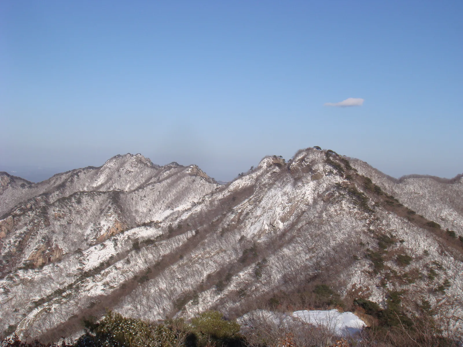 눈 덮인 계룡산 능선 봉우리들이 이어진 전경