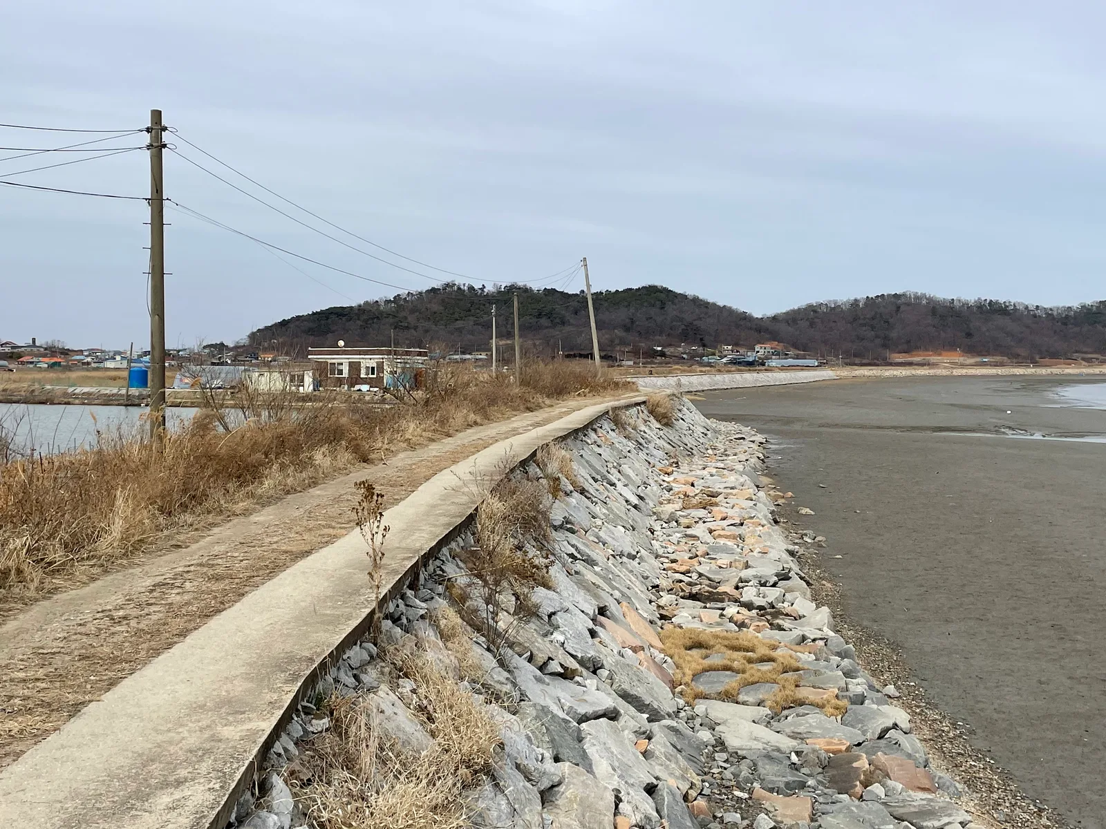 해안을 따라 놓인 좁은 콘크리트 도보길과 돌로 쌓은 방조제, 갯벌과 마을이 보이는 교동도 해안 풍경