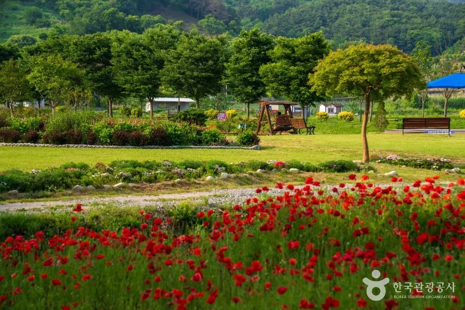 상림공원 일대 붉은 꽃밭과 정자