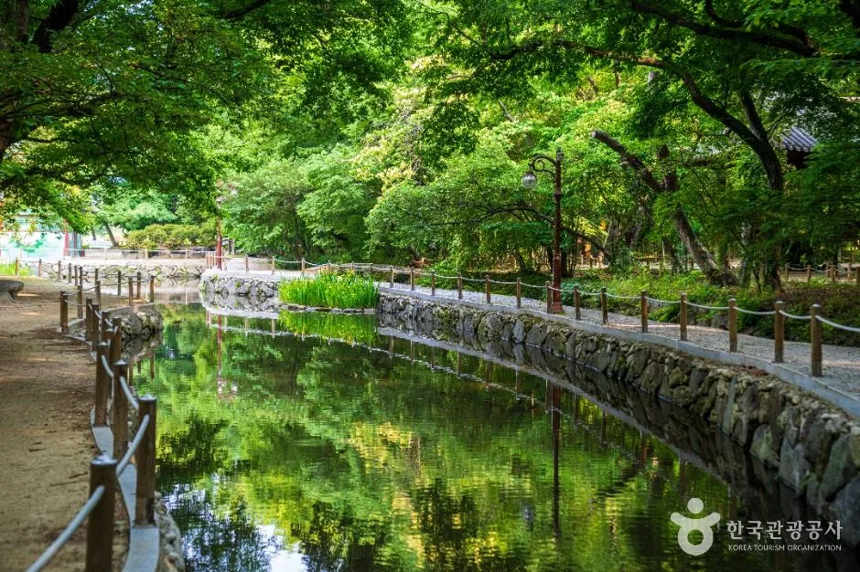상림공원 숲 사이 연못과 돌담 물길