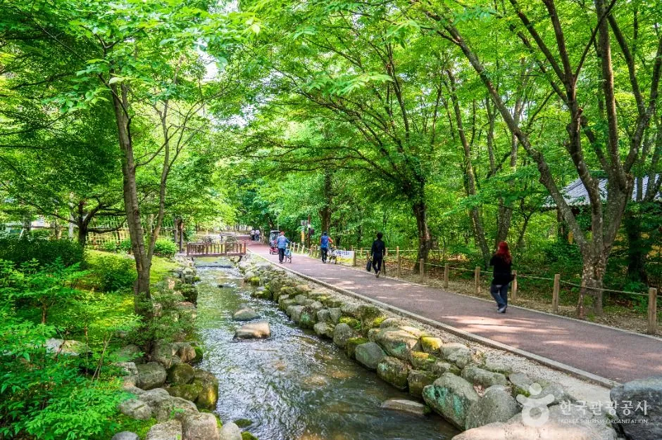 상림공원 숲 사이 물길과 산책로