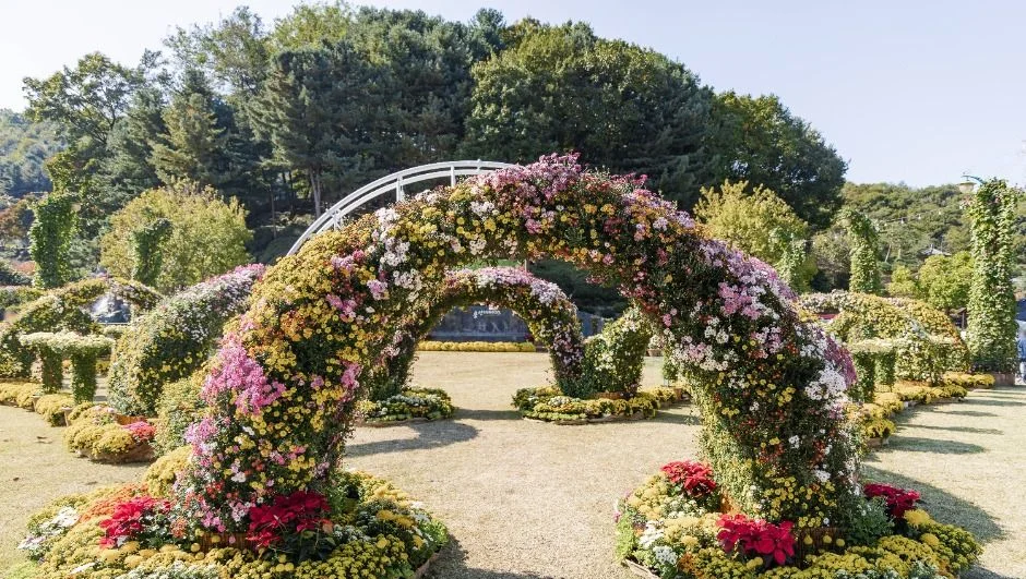 국화로 장식한 꽃 아치가 있는 정원
