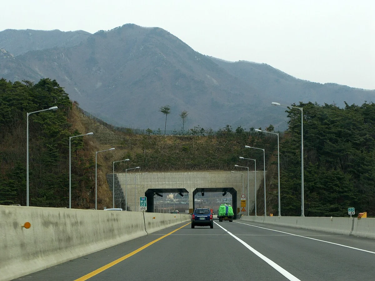 산을 배경으로 두 갈래 터널 입구가 보이는 고속도로의 차로와 가로등
