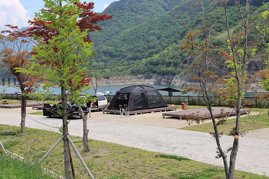 호수와 산을 낀 야영장에 텐트가 놓이고 붉은 잎이 달린 나무가 서 있는 모습