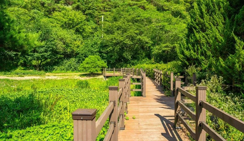 초록 풀밭 위로 이어지는 나무 데크 산책로