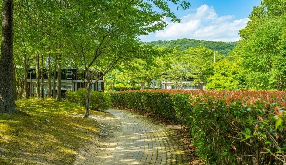벽돌이 깔린 산책로와 양옆의 초록 나무