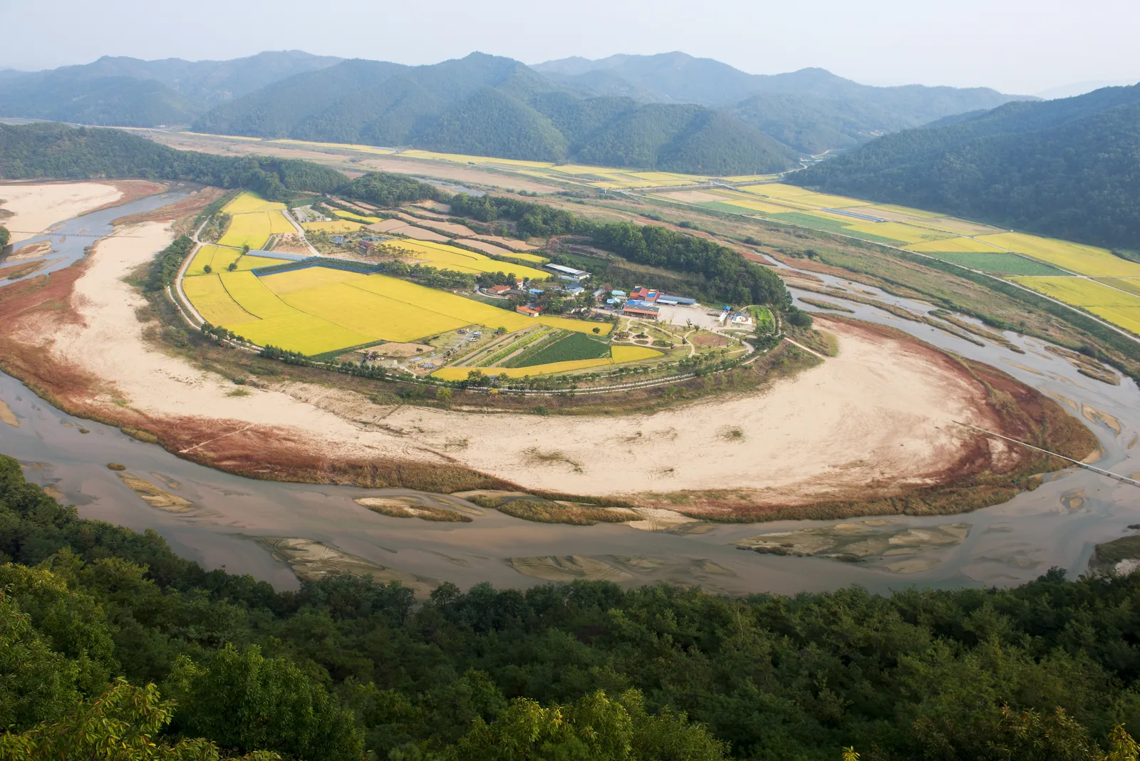 산 위에서 내려다본 회룡포 전경, 백사장과 붉은 갈대밭이 마을을 둥글게 감싸고 뒤로 산줄기와 들녘이 펼쳐진다