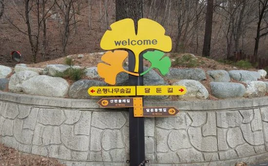 홍천 은행나무숲 인근의 실제 이정표. '은행나무숲길'과 '달둔길' 방향을 가리키는 표지판이 세워져 있다