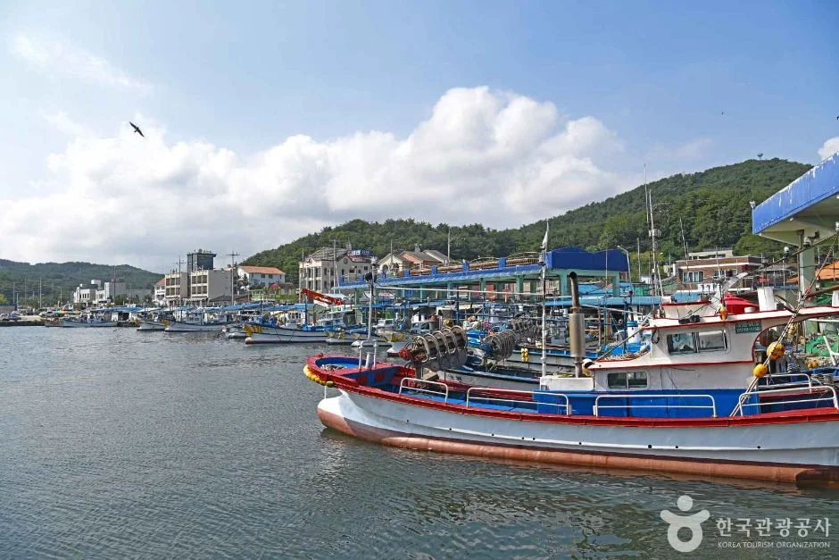 어선이 정박한 기사문항 항구