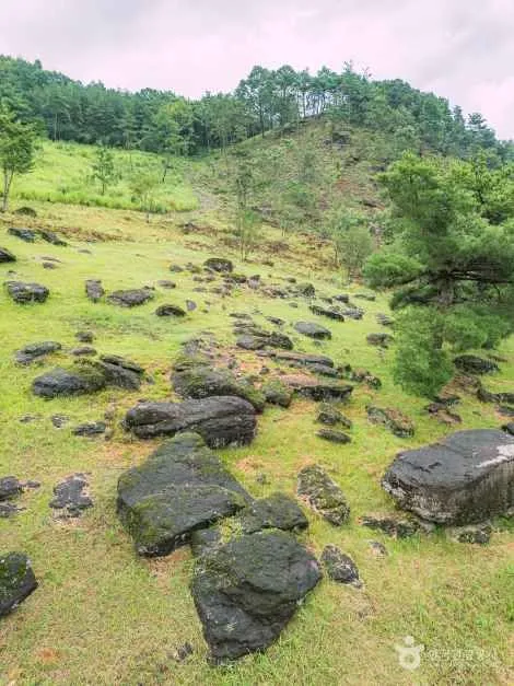 산비탈에 크고 작은 바위가 흩어져 있는 화순 고인돌 유적 지형