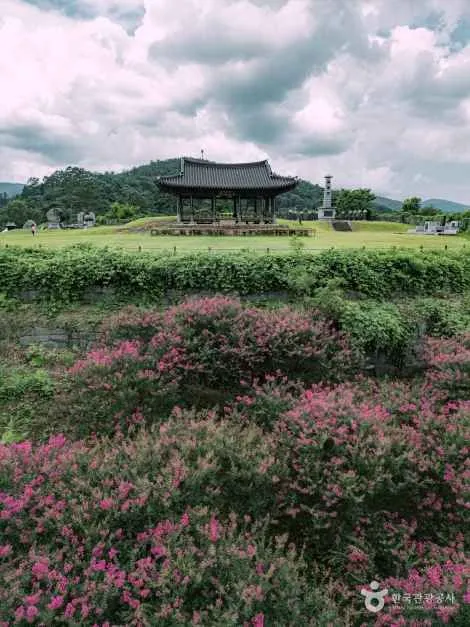 정자와 배롱나무 꽃이 보이는 화순적벽 부근 풍경