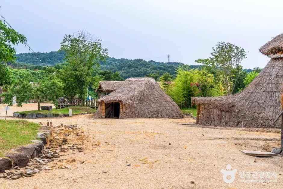 초가 움집이 모여 있는 화순 고인돌 선사체험장