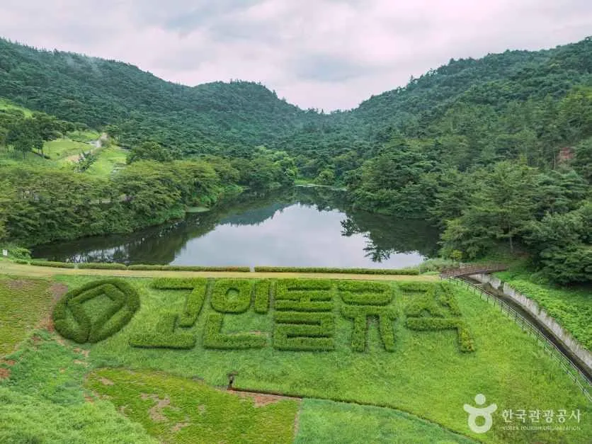 "입장료 5천 원 냈는데 5천 원을 돌려준대"… 화순 고인돌 가을꽃 축제, 주차는 어떻게 될까