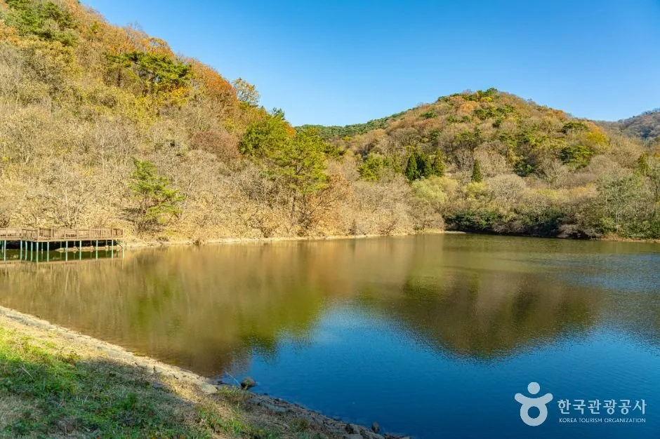 산 능선이 물에 비친 세량지 호수